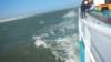 HWK Texel 2015 091_small.jpg